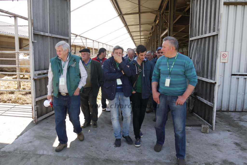lajosmizse20140507arvereskis