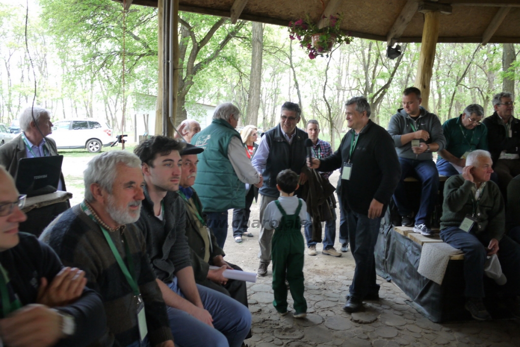 lajosmizse20140507arvereskis