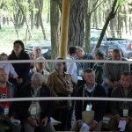 lajosmizse20140507arvereskis