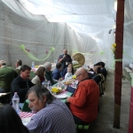 lajosmizse20140507arvereskis