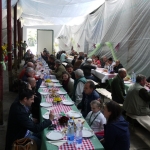 lajosmizse20140507arvereskis