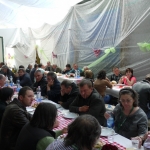 lajosmizse20140507arvereskis