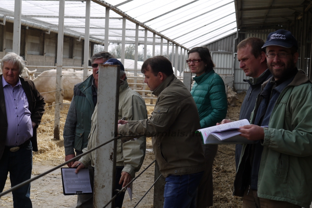 Szemle a Charolais Kft.-ben 2014.