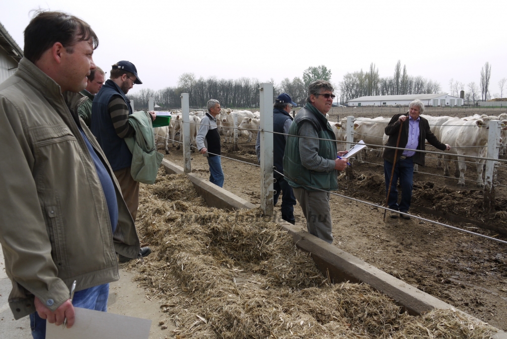 Szemle a Charolais Kft.-ben 2014.