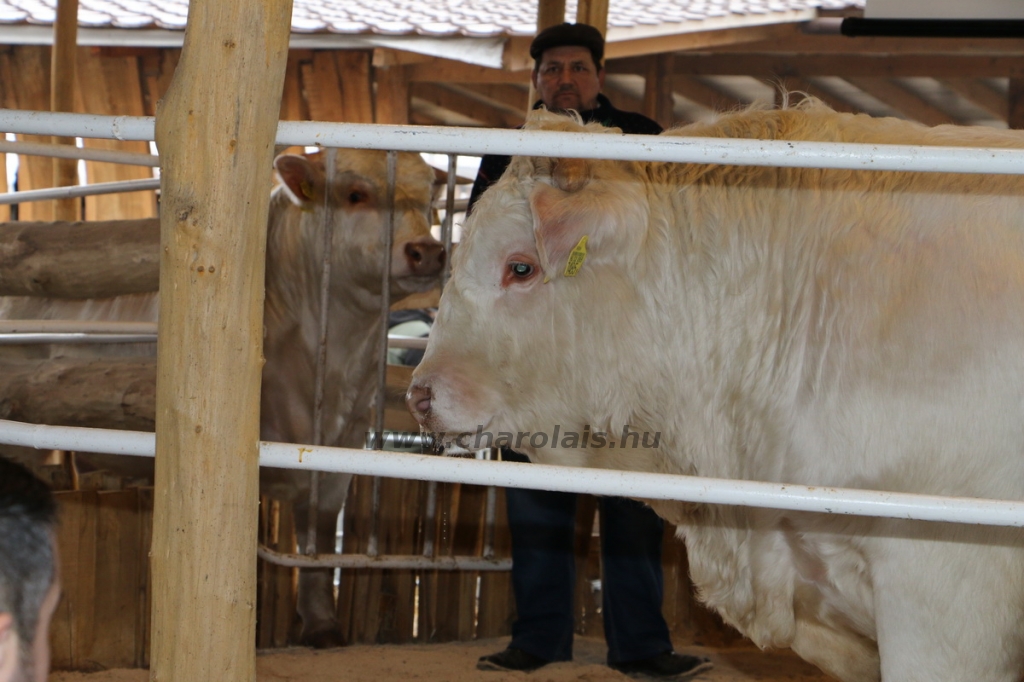 lamivasar160126