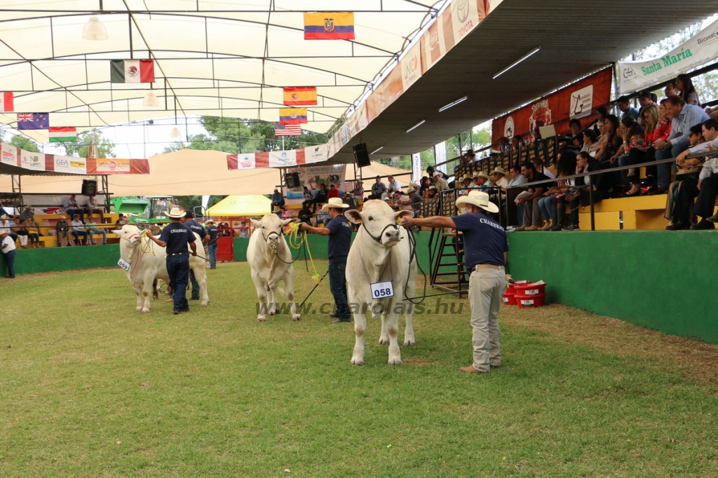 mex16kis