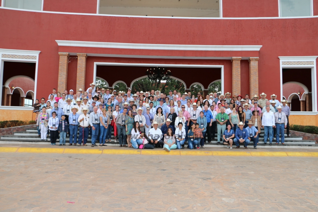 mex16kis