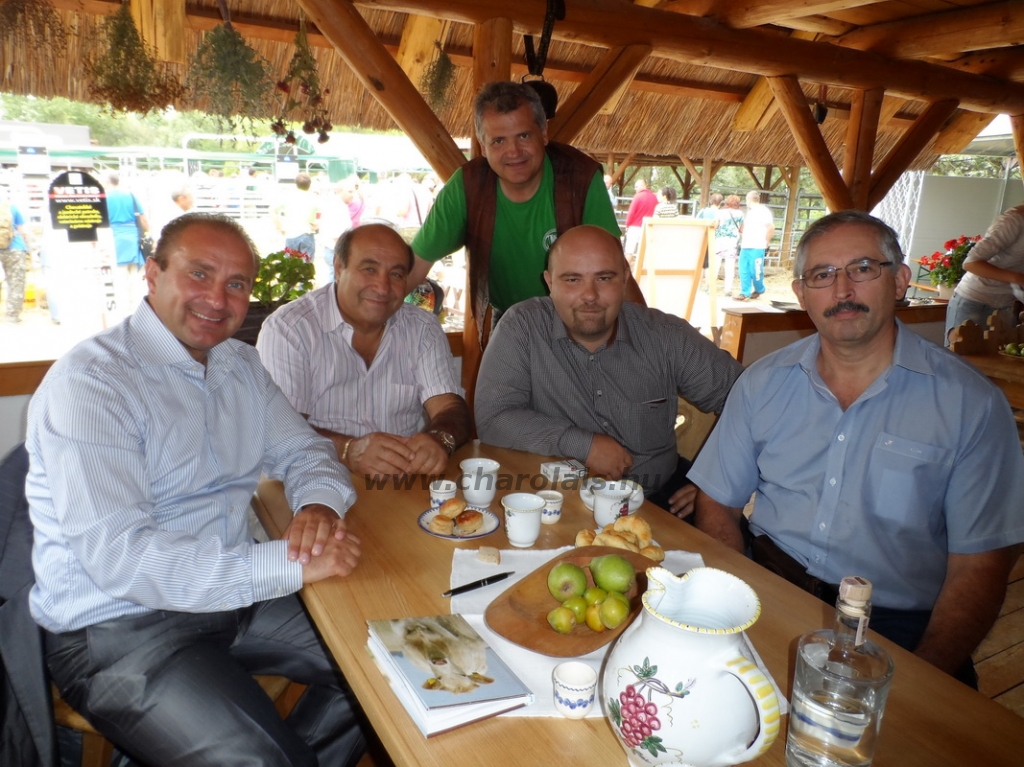 Nyitra 2013