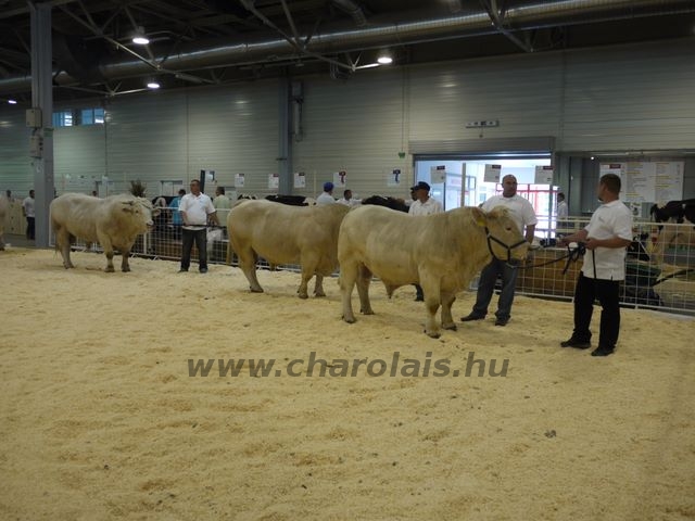 OMÉK 2011