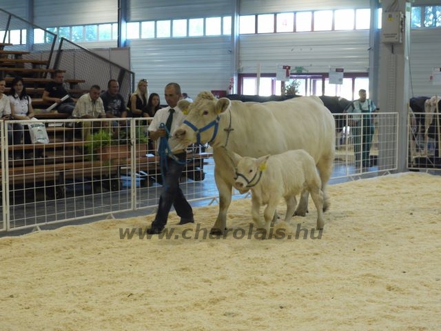 OMÉK 2011