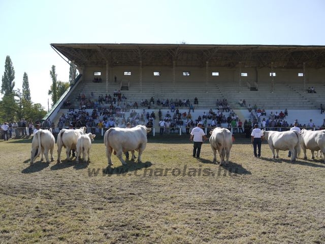 OMÉK 2011