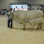 OMÉK 2011