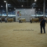OMÉK 2011