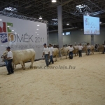 OMÉK 2011