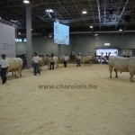 OMÉK 2011