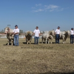 OMÉK 2011