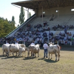 OMÉK 2011