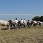 OMÉK 2011