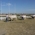 OMÉK 2011