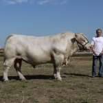 OMÉK 2011