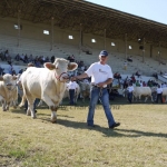 OMÉK 2011