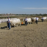 OMÉK 2011