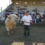 OMÉK 2011