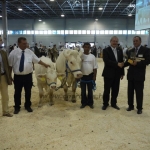 OMÉK 2011