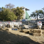 OMÉK 2011