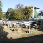 OMÉK 2011