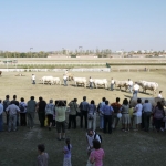 OMÉK 2011