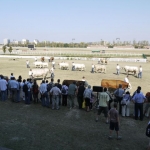 OMÉK 2011