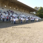 OMÉK 2011