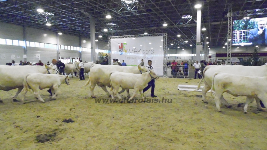 OMÉK 2013 képei