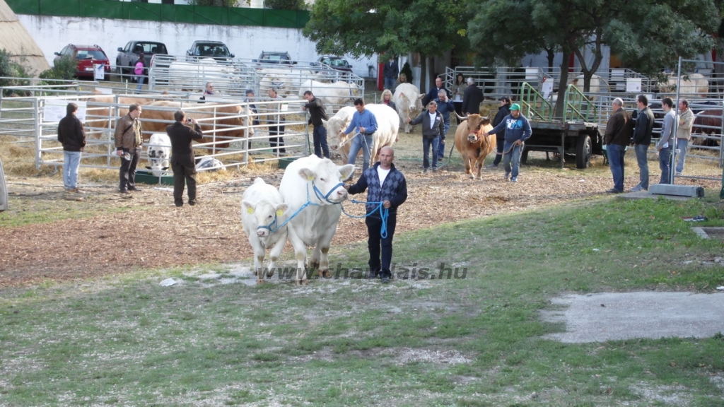 OMÉK 2013 képei
