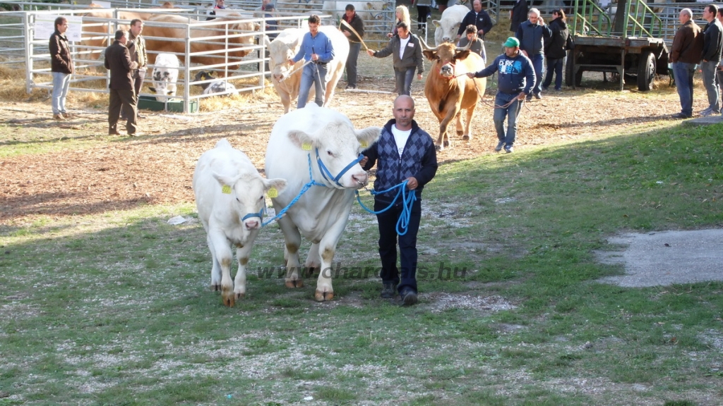 OMÉK 2013 képei