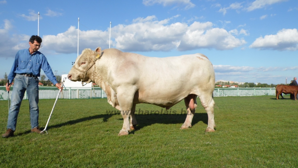 OMÉK 2013 képei