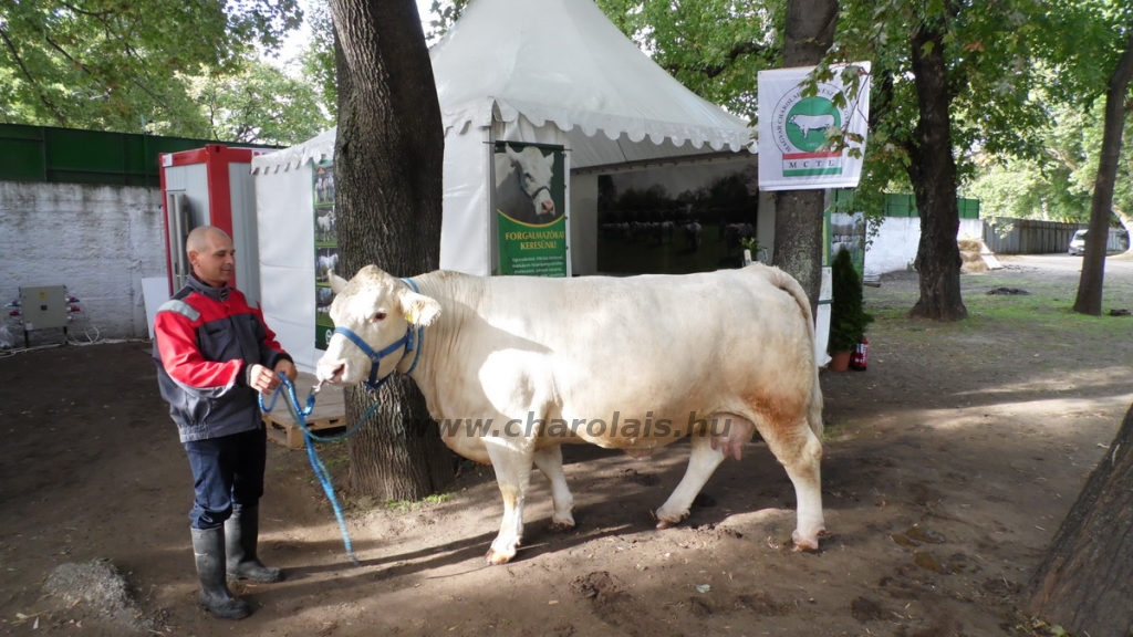 OMÉK 2013 képei