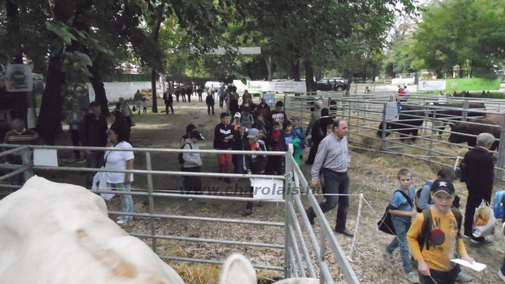OMÉK 2013 képei