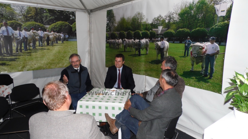 OMÉK 2013 képei