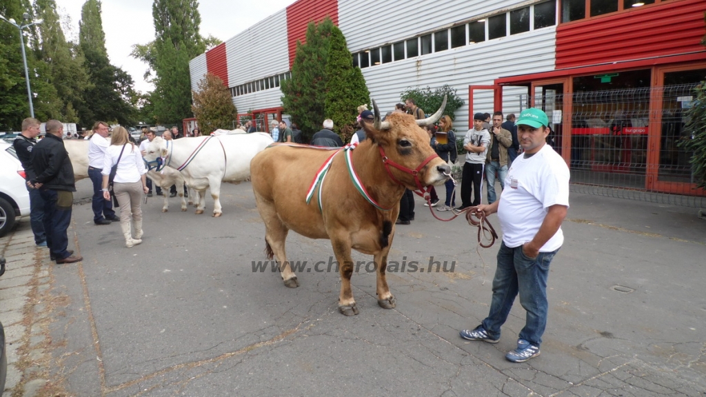 OMÉK 2013 képei