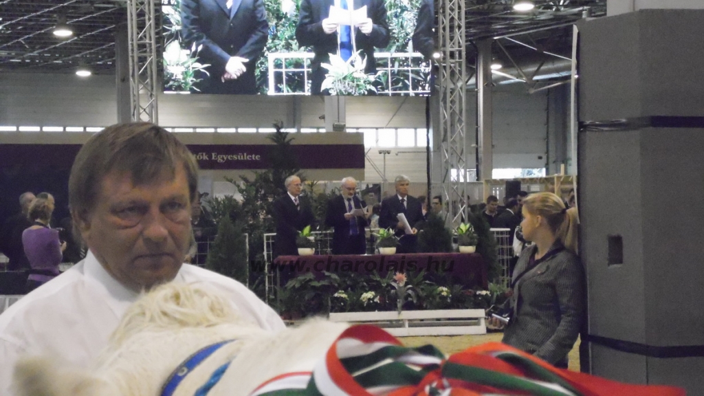 OMÉK 2013 képei
