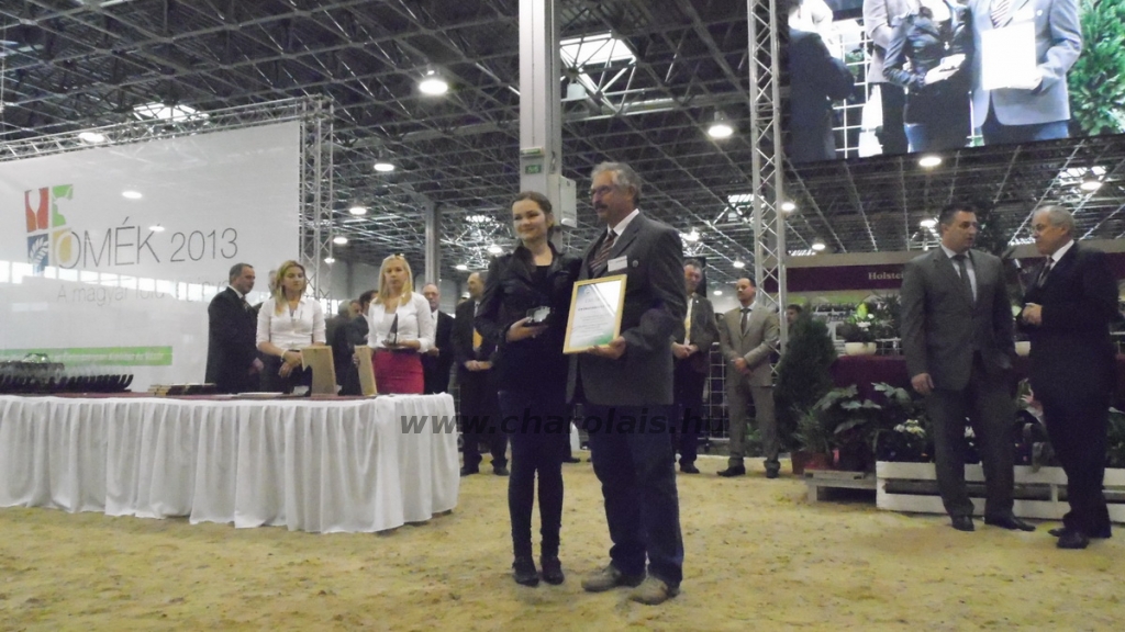 OMÉK 2013 képei