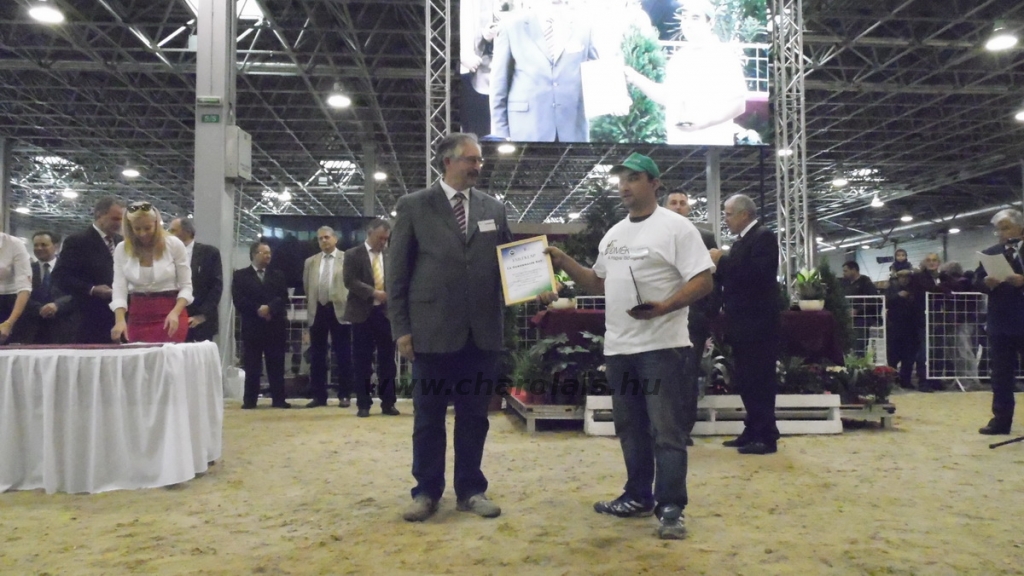 OMÉK 2013 képei