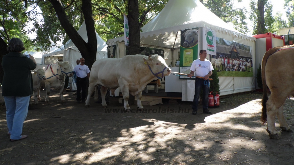 OMÉK 2013 képei