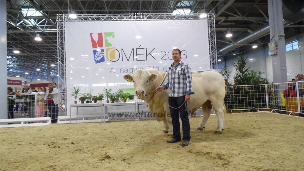 OMÉK 2013 képei