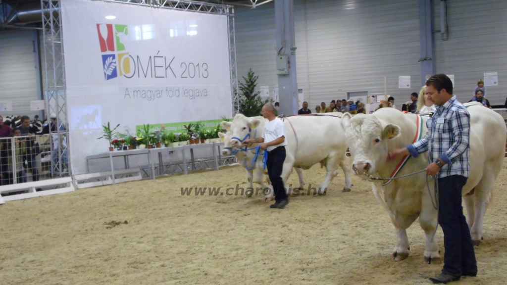 OMÉK 2013 képei