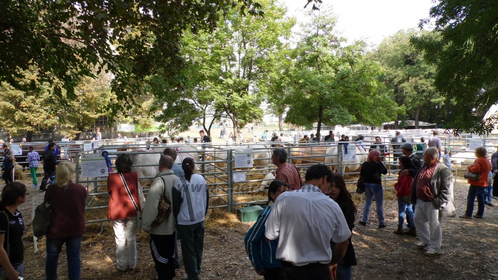 OMÉK 2013 képei