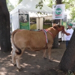 OMÉK 2013 képei