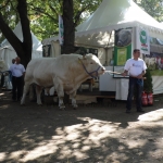 OMÉK 2013 képei